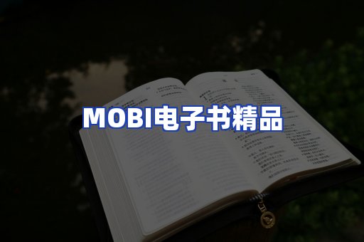 外文电子书产品